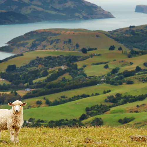 Australia & Uusi-Seelanti