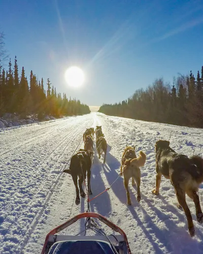 Alaskan jäätiköt ja luonto