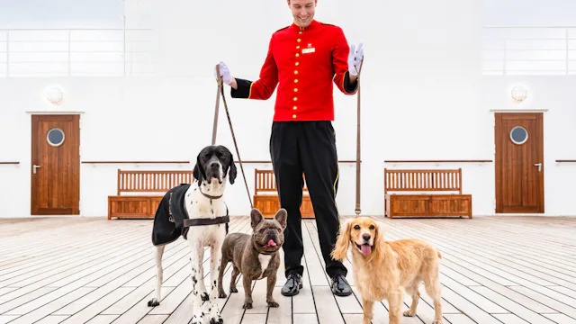 Kolme koiraa Queen Mary 2 laivan kannella ulkoiluttajan kanssa