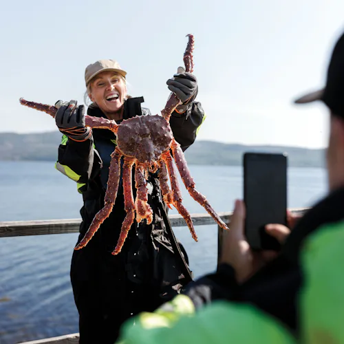 Risteilyreitti pohjoiseen