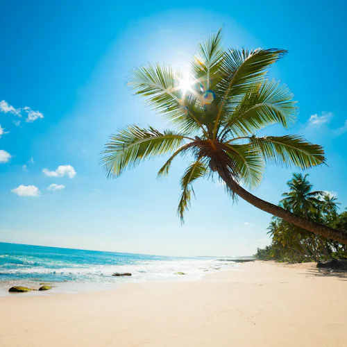 Karibian risteily ja Orlandon huvipuistot